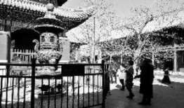 香炉最新爆料视频大全集,揭秘神秘事件背后的真相